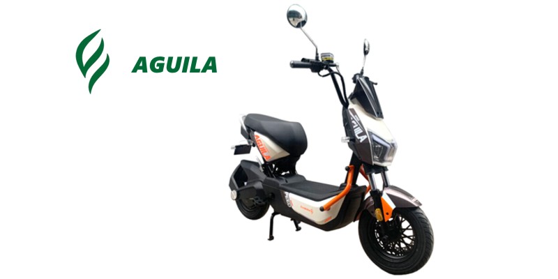 Modelo aguila